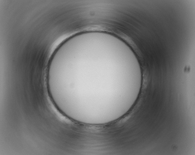 X0000113211086200909100940