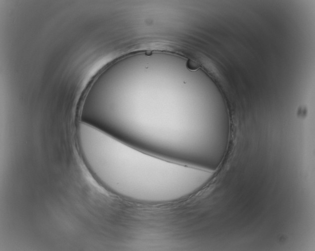 X0000113211087200909100940