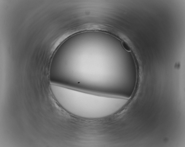 X0000113211089200909100940