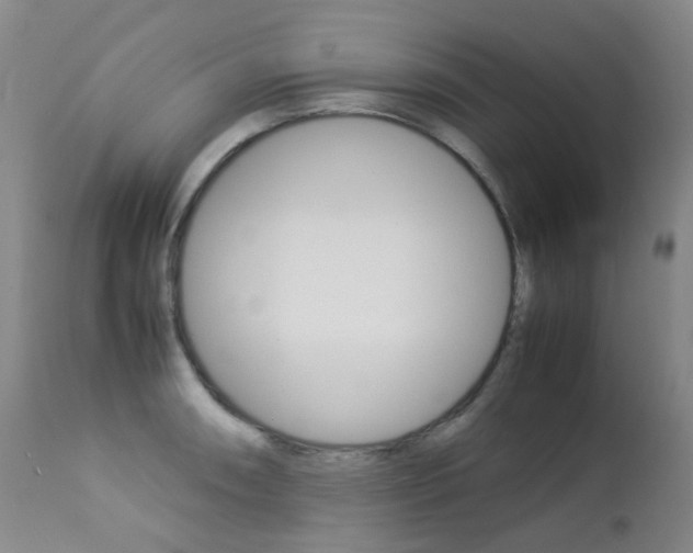 X0000113211090200909100940