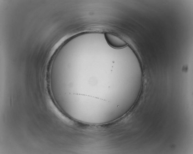 X0000113211091200909100940