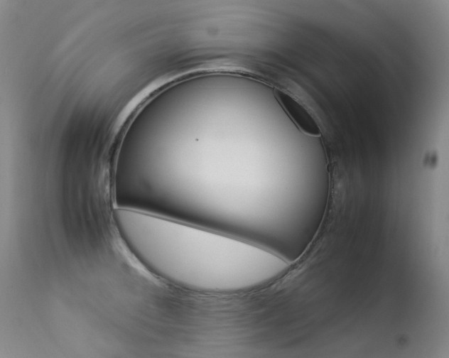 X0000113211092200909100940