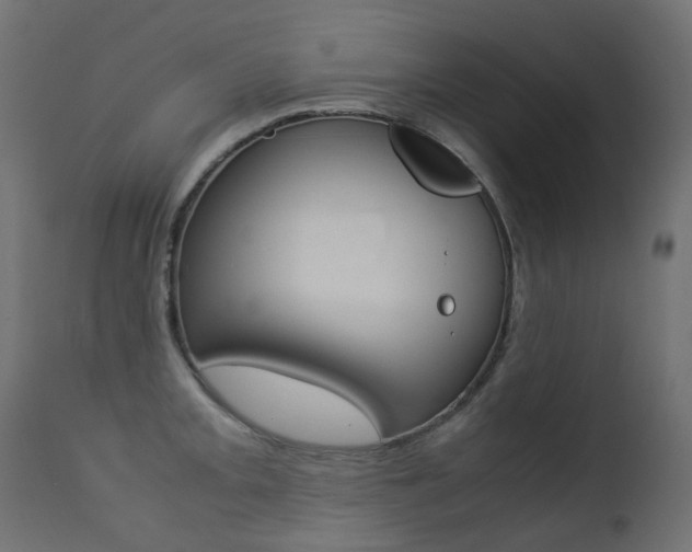 X0000113211093200909100940