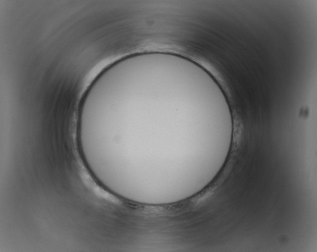 X0000113211094200909100940