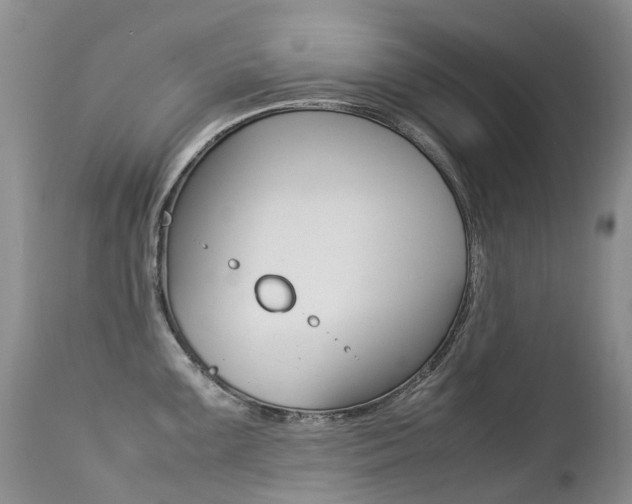 X0000113211099200909100940