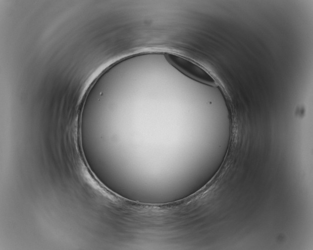 X0000113211100200909100940