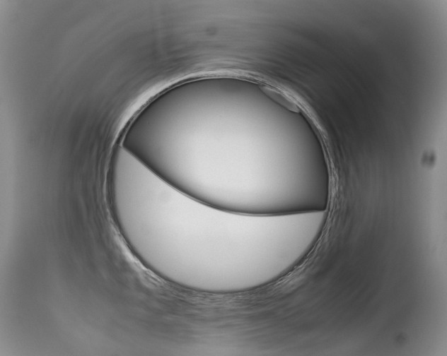 X0000113211101200909100940