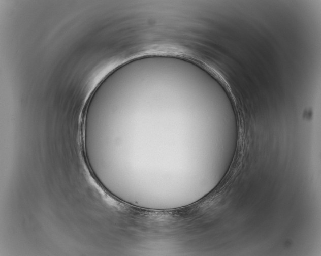 X0000113211103200909100940