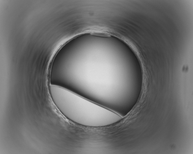 X0000113211104200909100940
