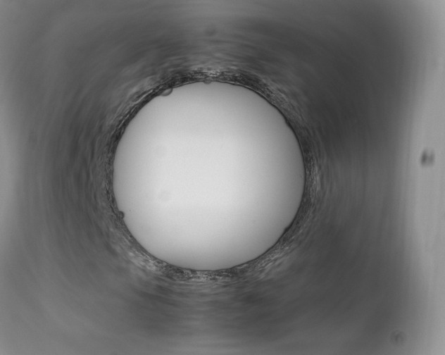 X0000113211105200909100939