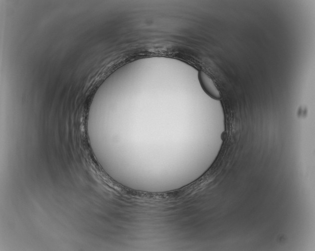 X0000113211106200909100939