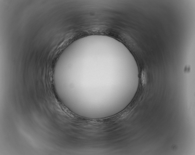 X0000113211107200909100939