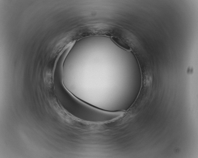 X0000113211108200909100939