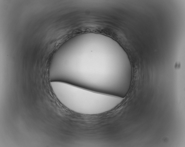 X0000113211109200909100939