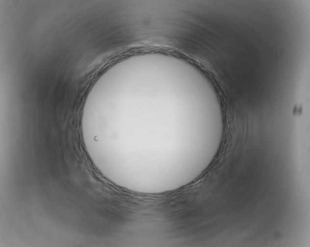 X0000113211110200909100939