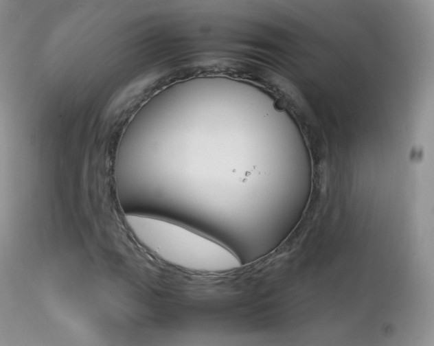 X0000113211111200909100939
