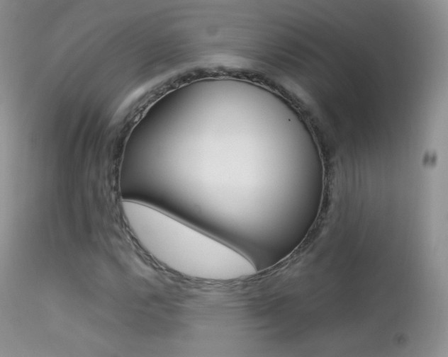 X0000113211112200909100939