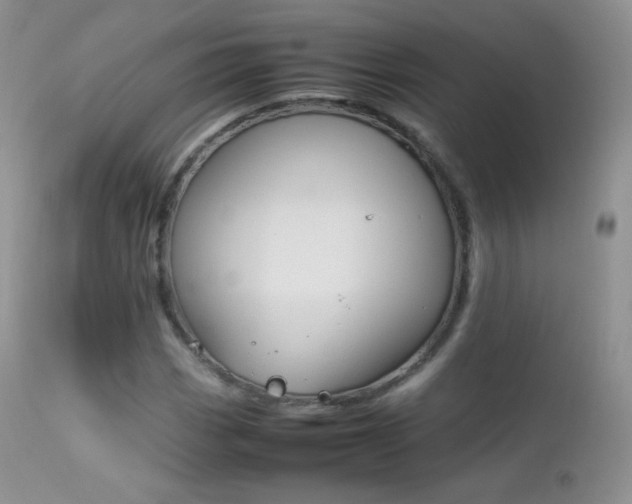 X0000113211113200909100939