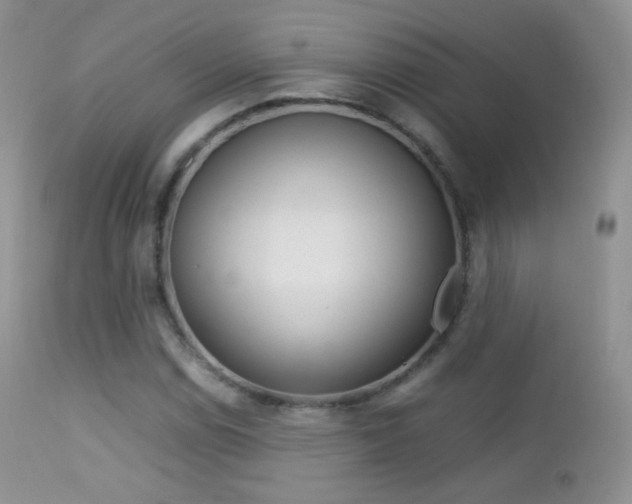 X0000113211114200909100939