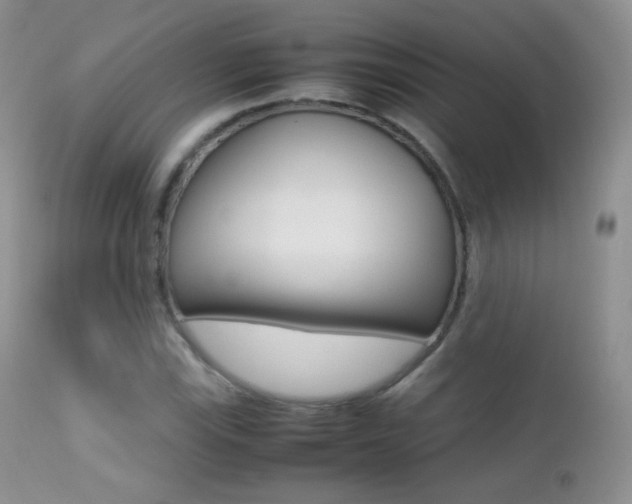 X0000113211115200909100939
