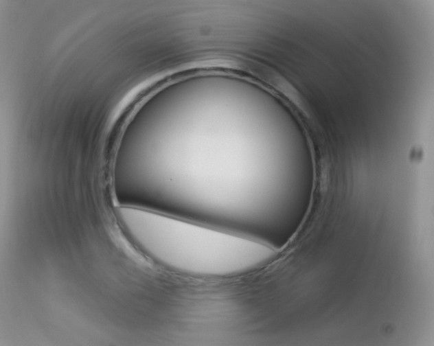 X0000113211116200909100939