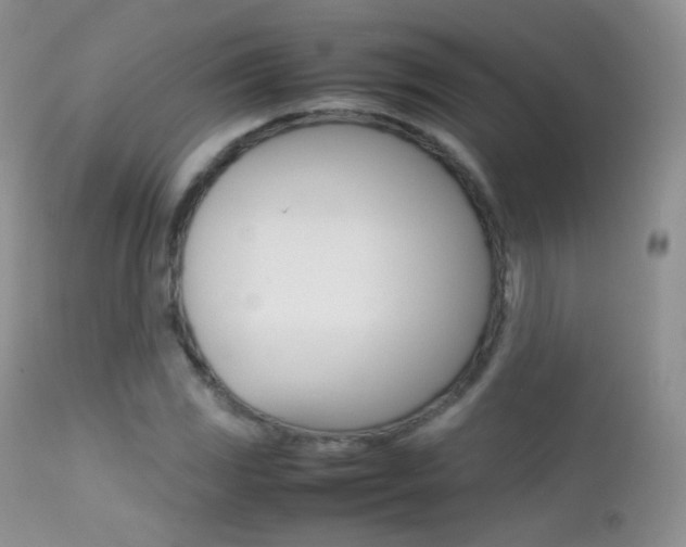 X0000113211117200909100939