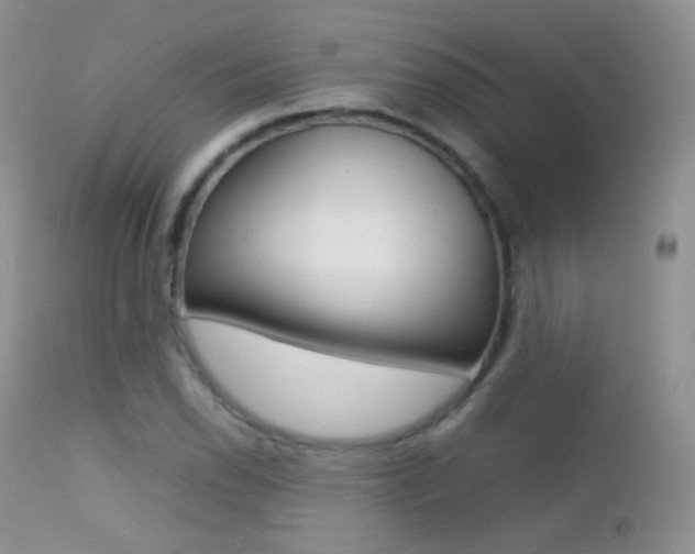 X0000113211118200909100939