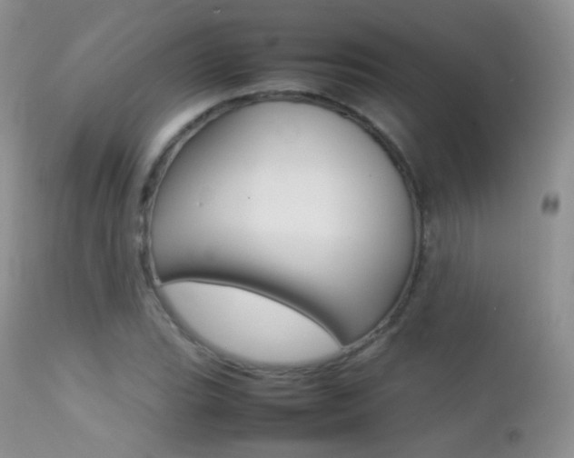 X0000113211119200909100939