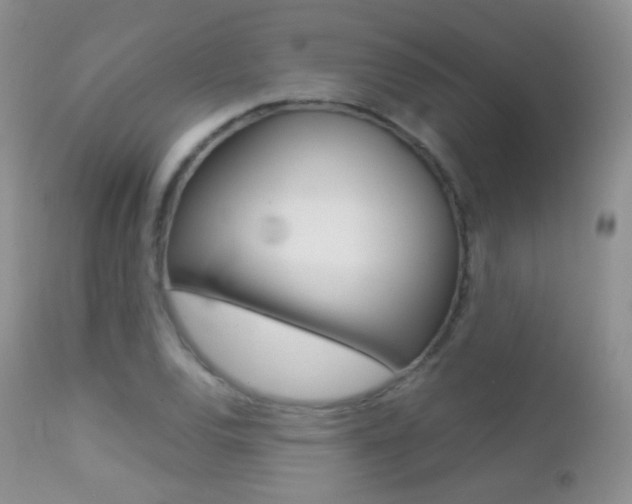 X0000113211120200909100939