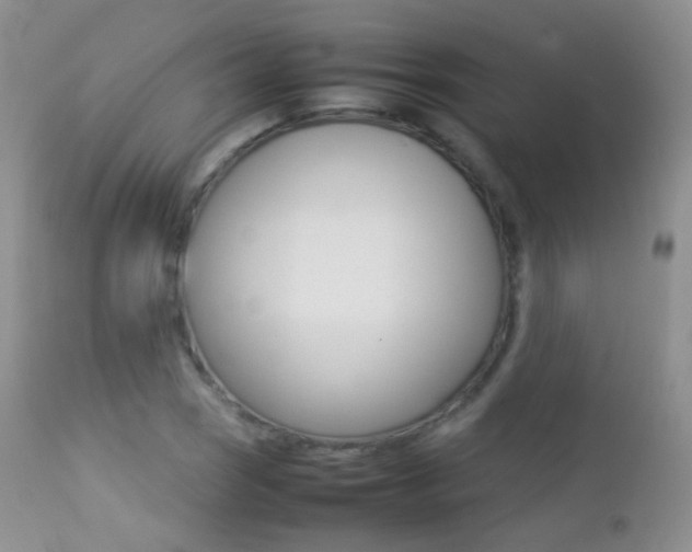 X0000113211121200909100939