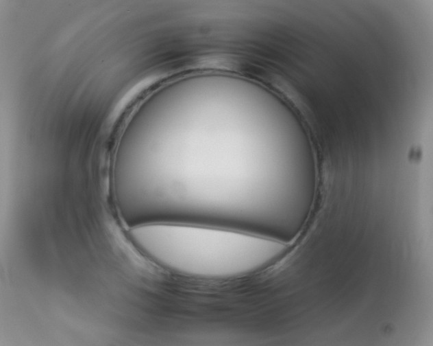 X0000113211123200909100939