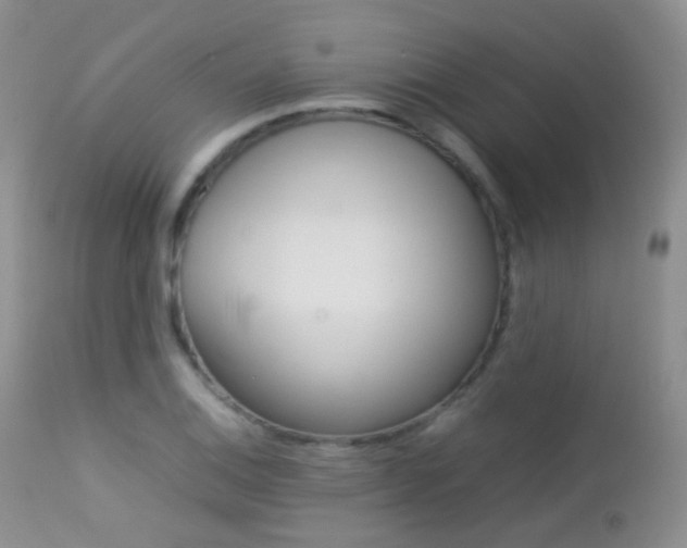 X0000113211124200909100940