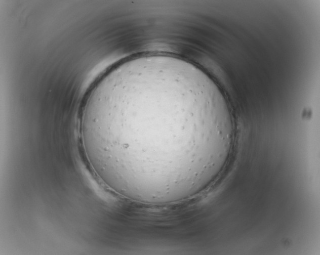 X0000113211125200909100940