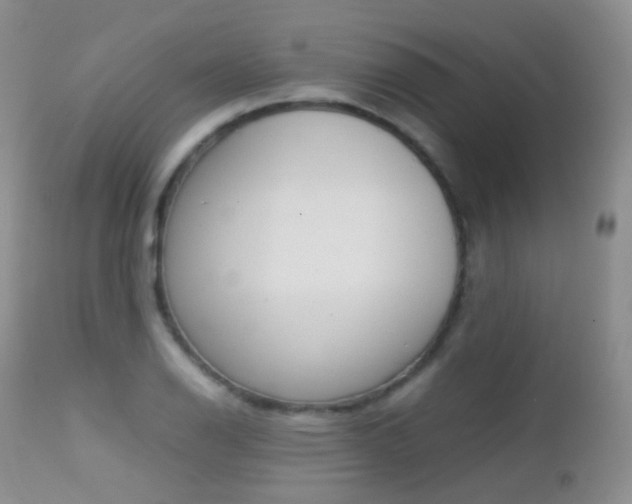 X0000113211126200909100940