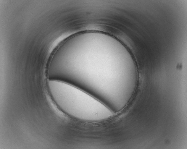 X0000113211133200909100940