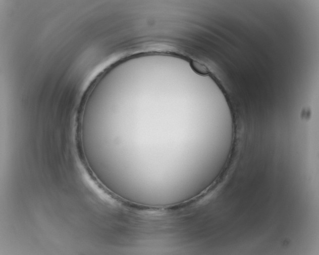 X0000113211134200909100940