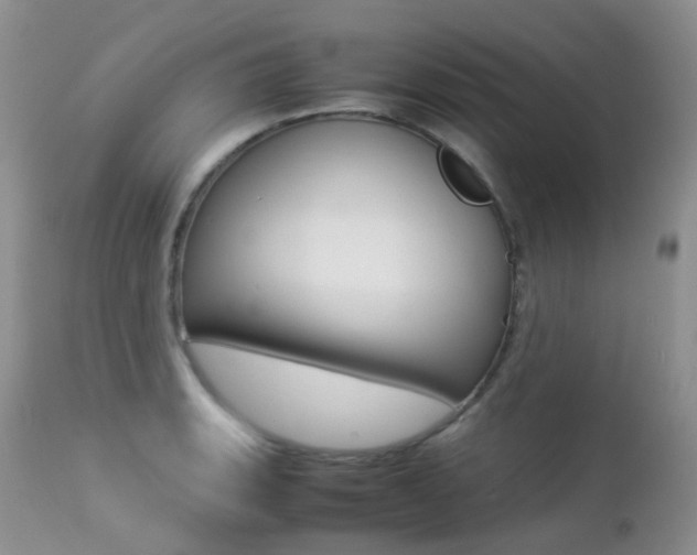 X0000113211135200909100940