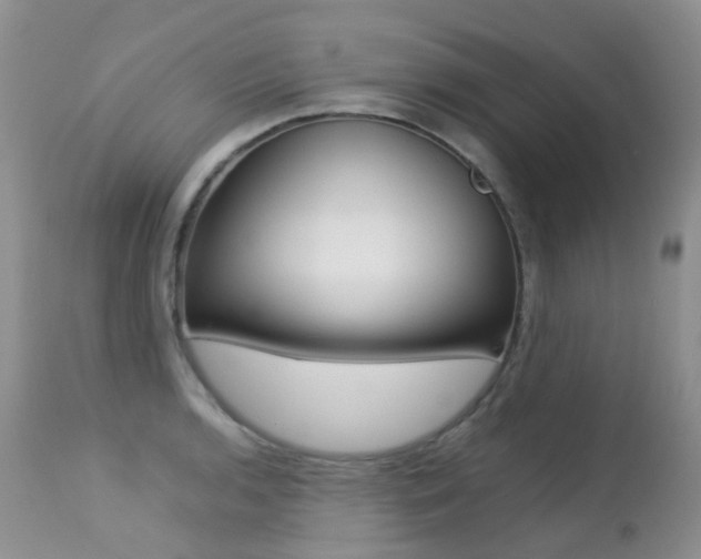 X0000113211136200909100940