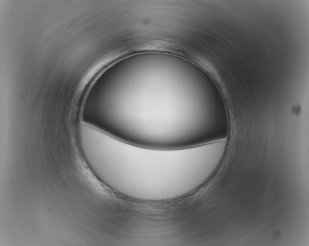 X0000113211138200909100940