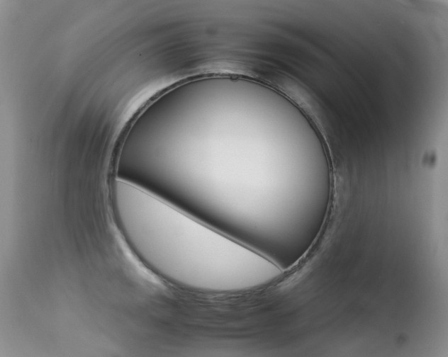 X0000113211141200909100940