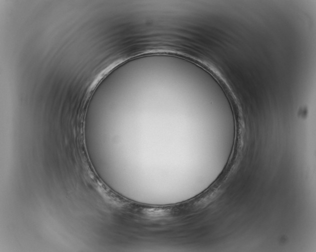 X0000113211145200909100940