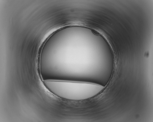 X0000113211147200909100940