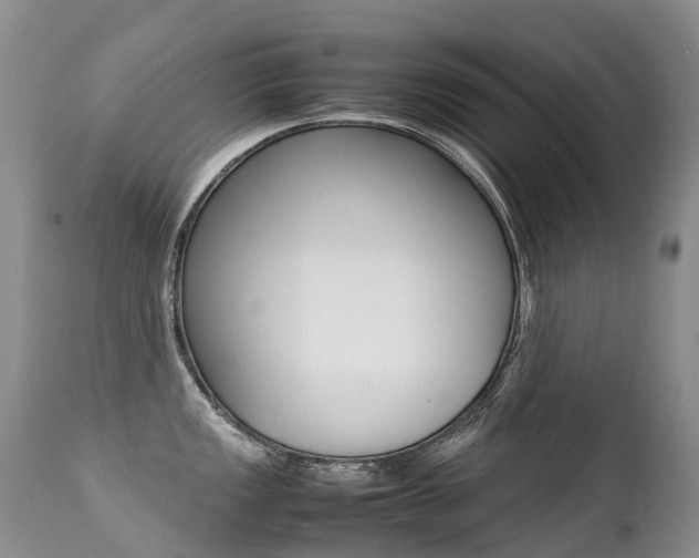 X0000113211149200909100940