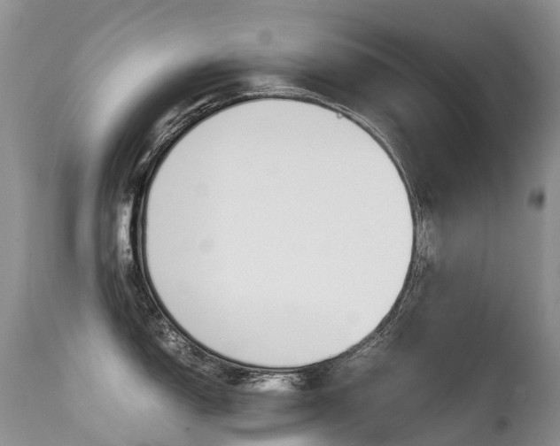 X0000113211150200909100940