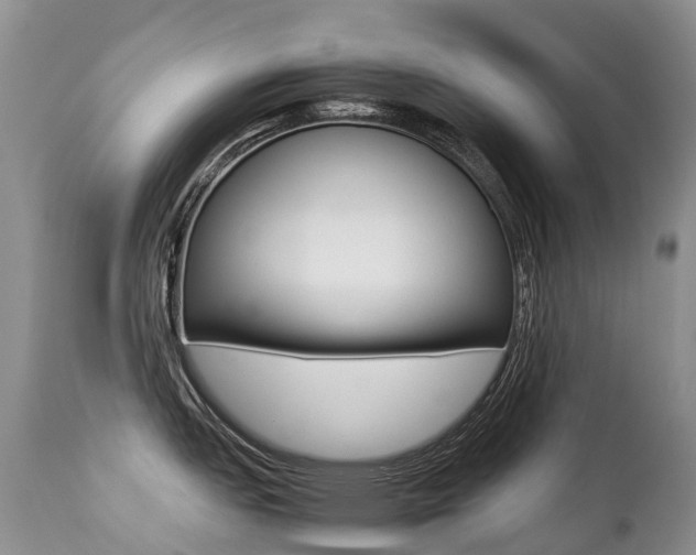 X0000113211151200909100940