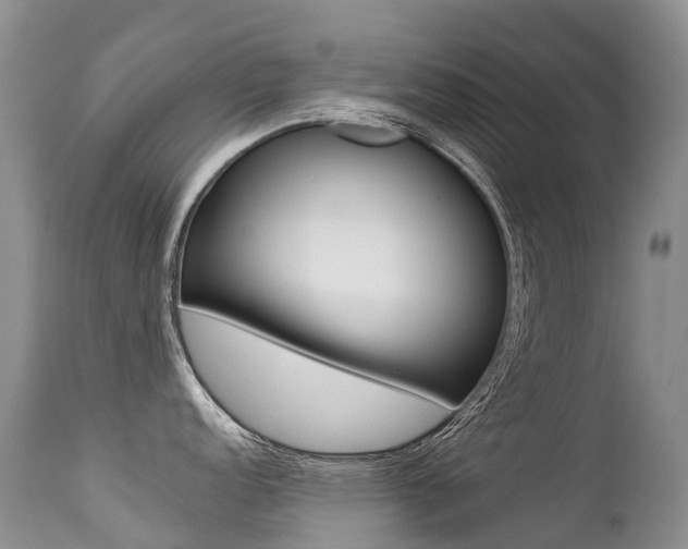 X0000113211152200909100940