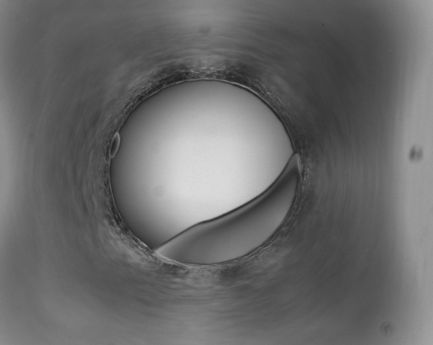 X0000113211153200909100939