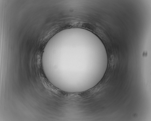 X0000113211154200909100939