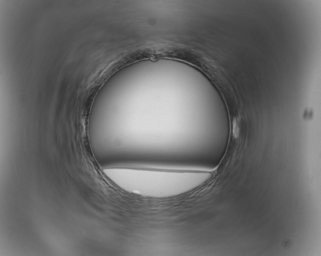 X0000113211155200909100939