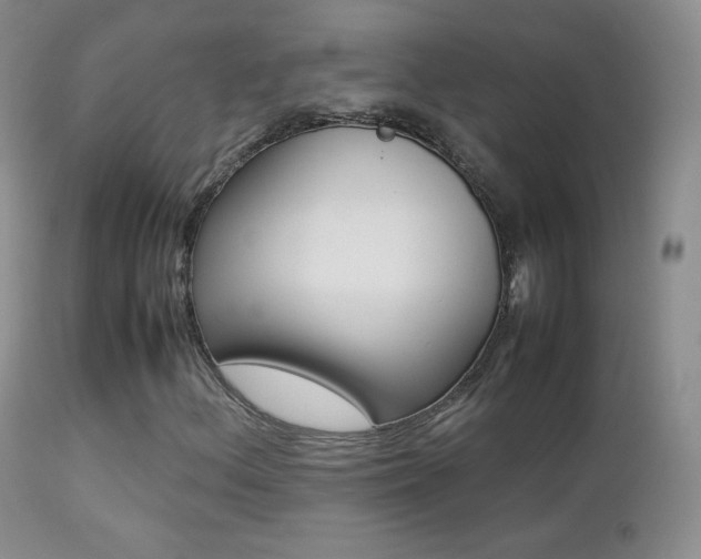 X0000113211156200909100939